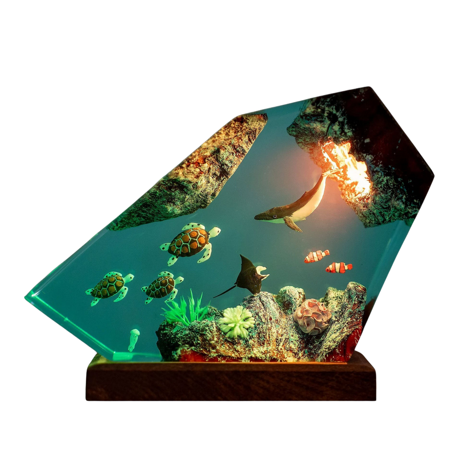 Ocean